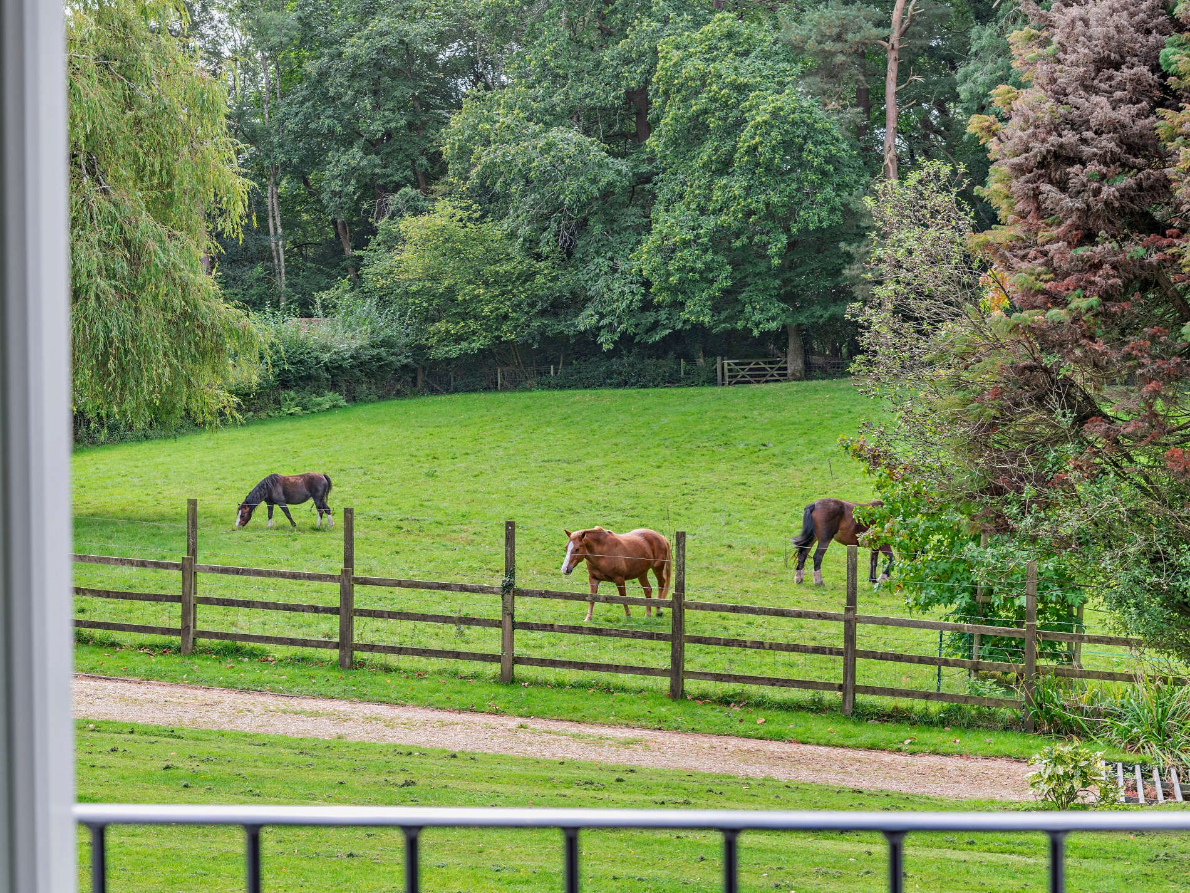 Wildwood Manor - Luxurious Country Escape - photo 3