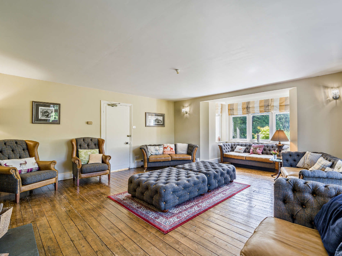 Tranquil Paws - Pet-Friendly Luxury Haven - photo 4