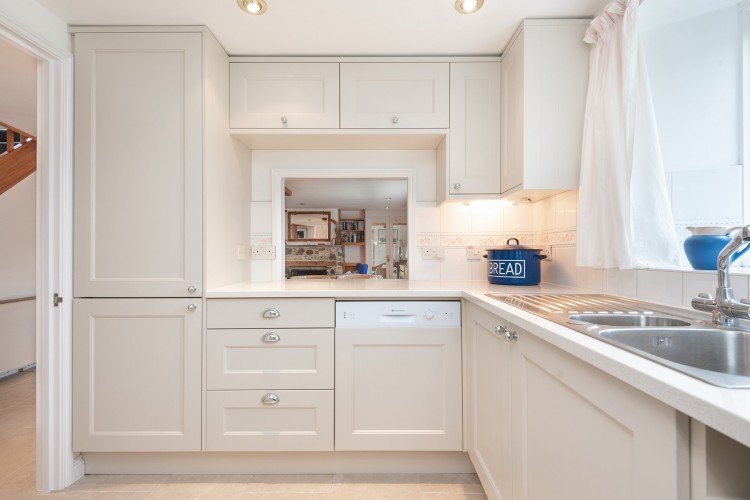 Apple Tree - photo 3