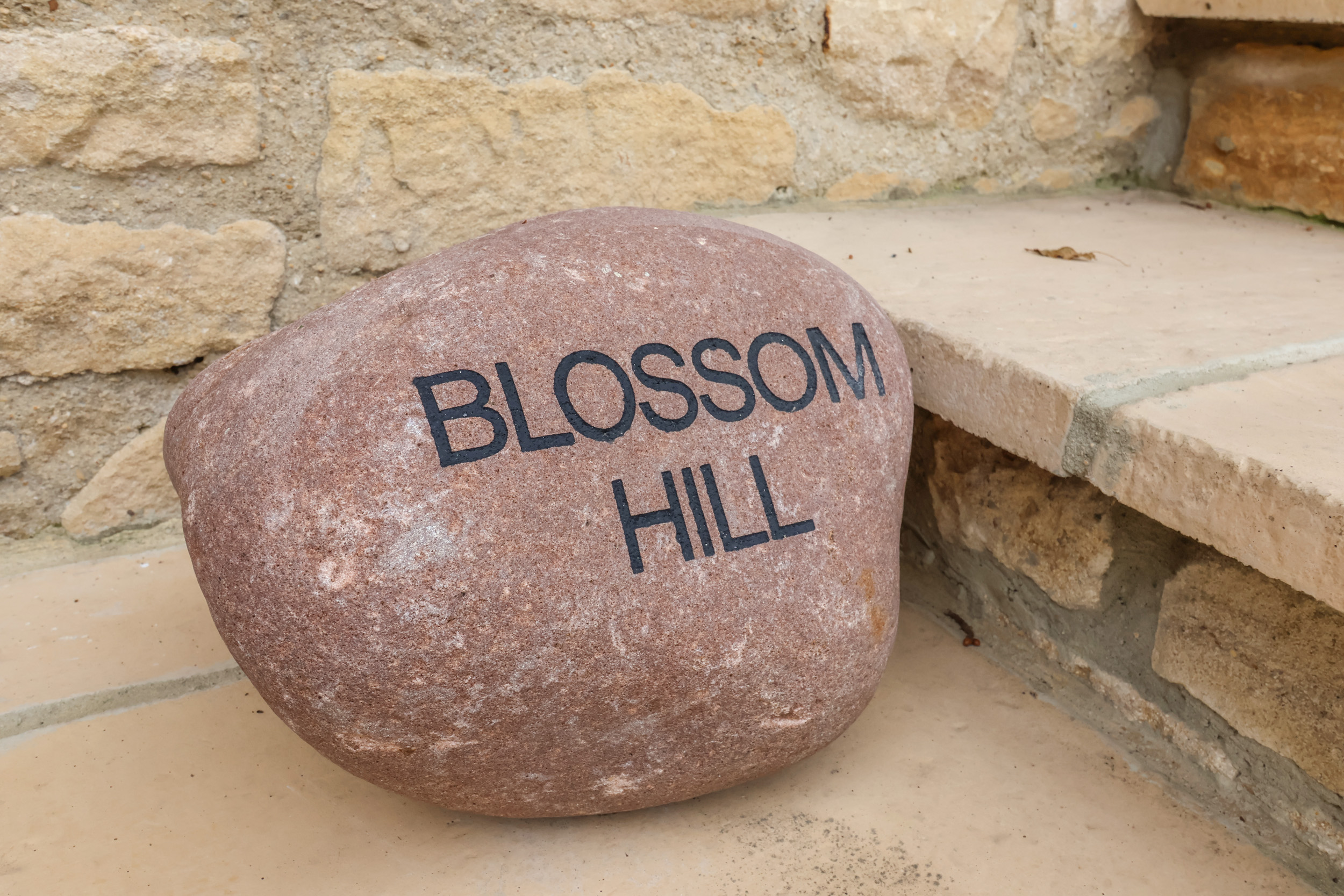 Blossom Hill - photo 3