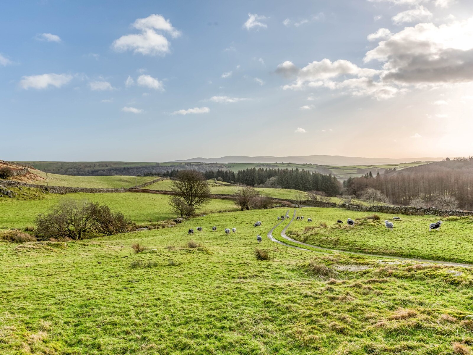 The Glorious Sheep Farm - Luxurious Barn & Stables - photo 3