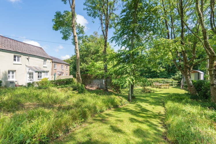 Cob Cottage - photo 2