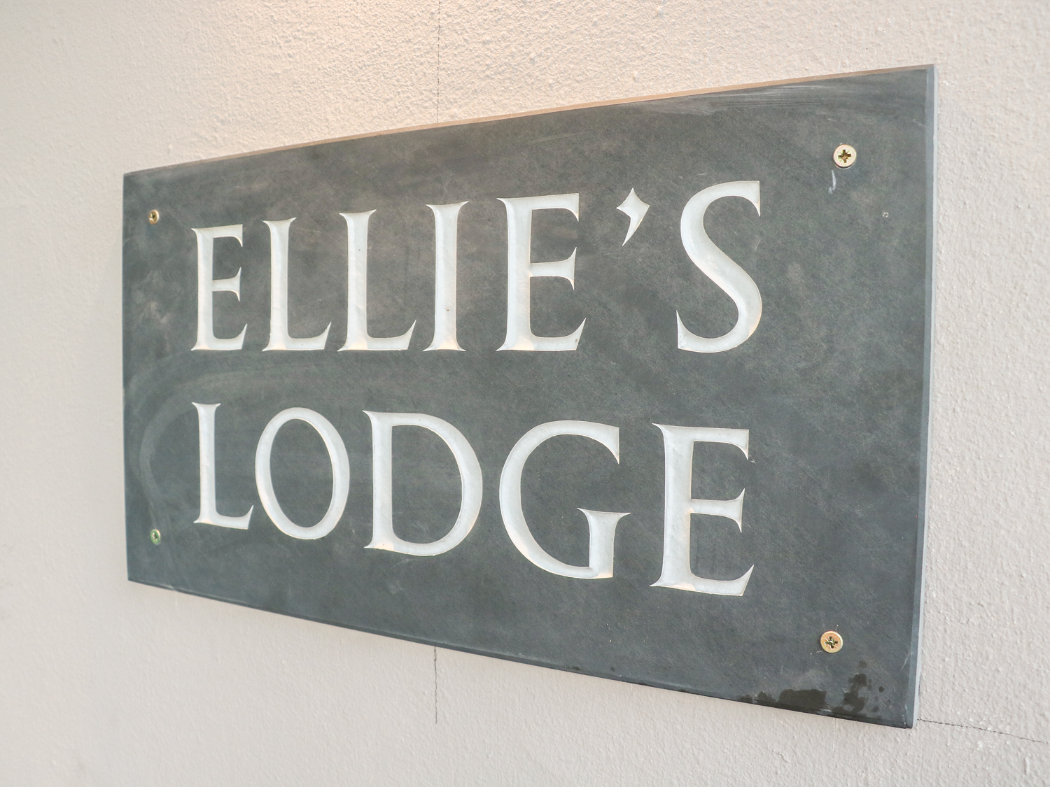 Ellie's Lodge - photo 2