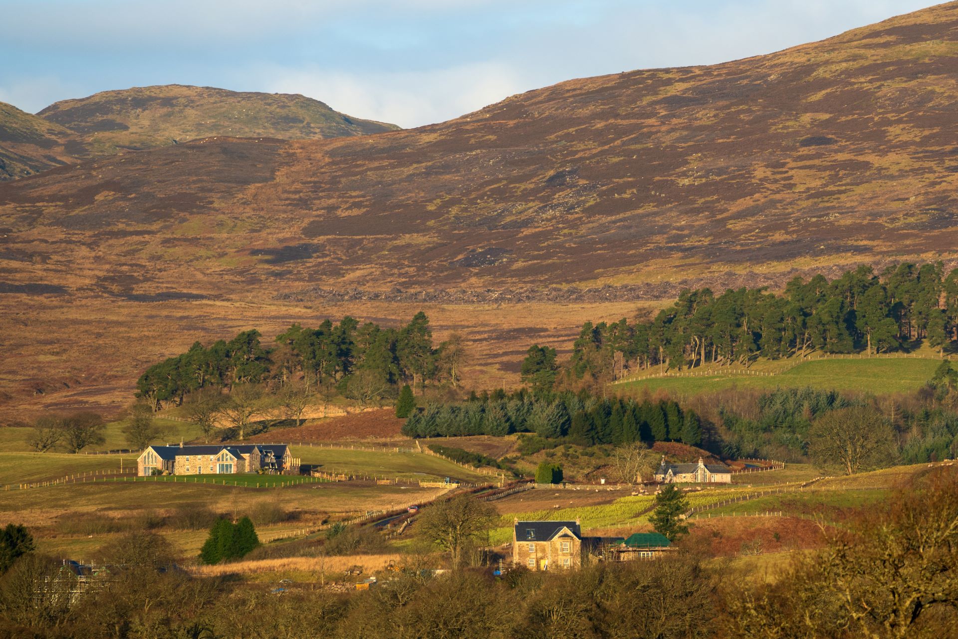 Fernbrae Farmhouse - photo 3