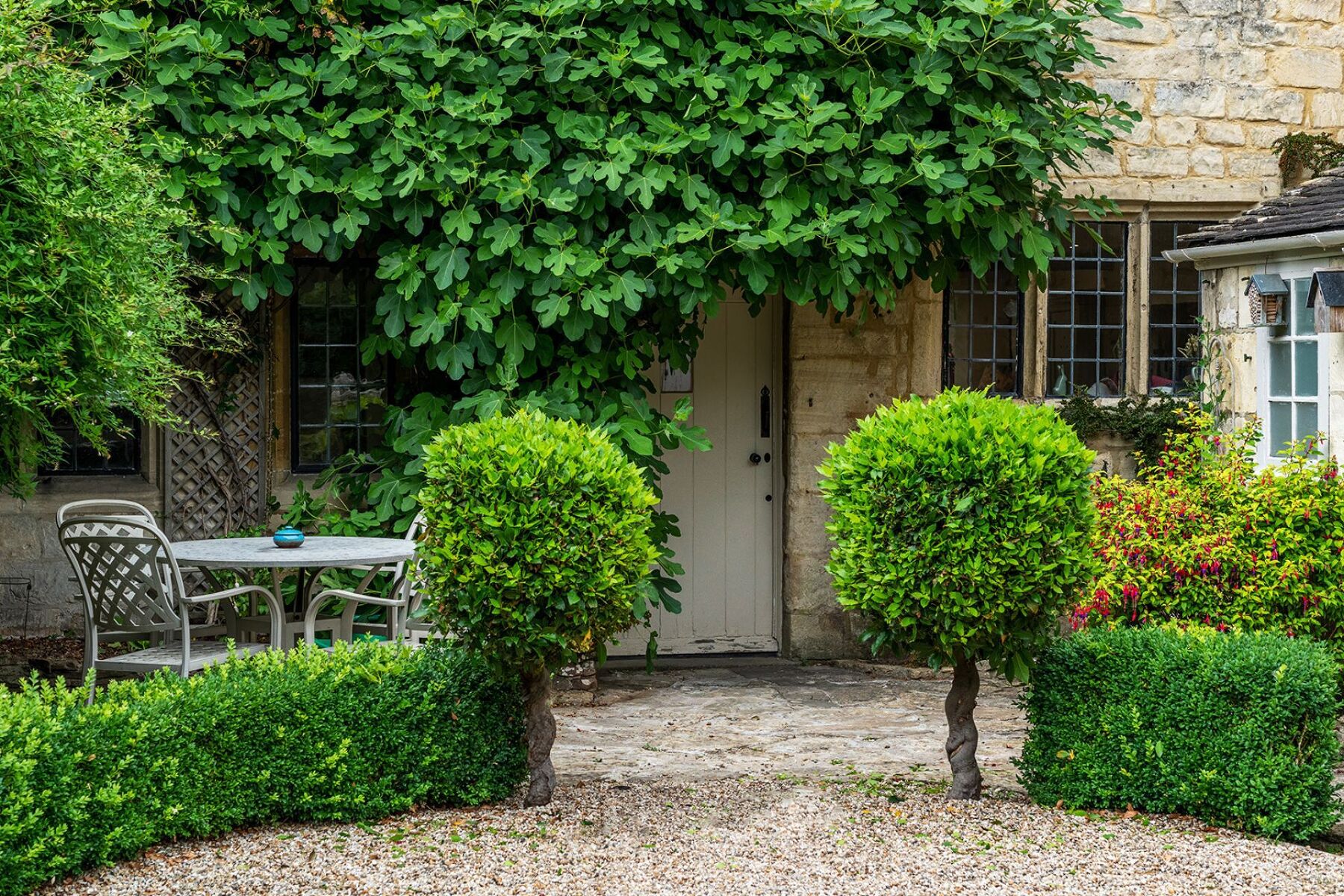Fig Tree Cottage - photo 2