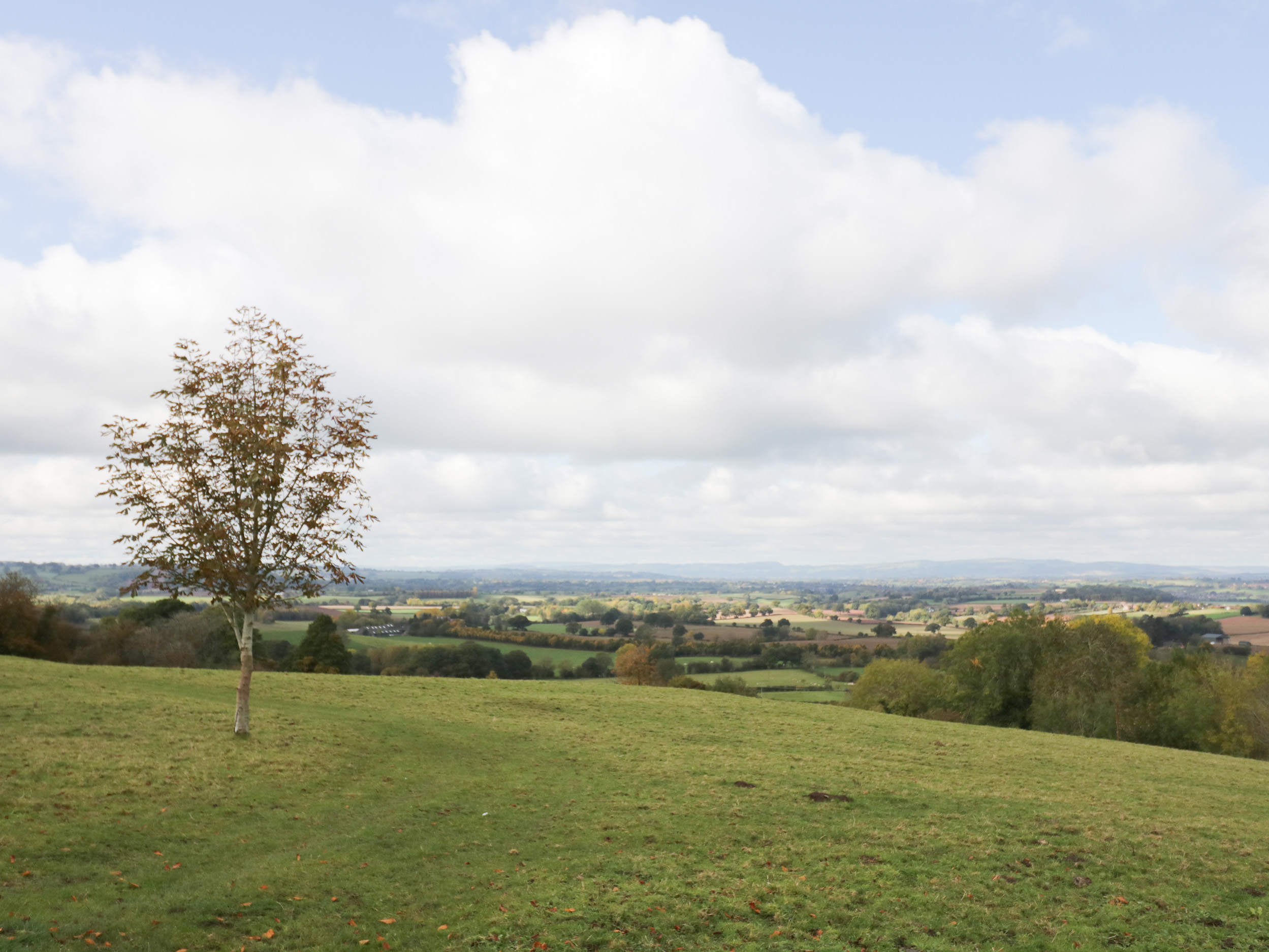 Hilltop House - photo 2