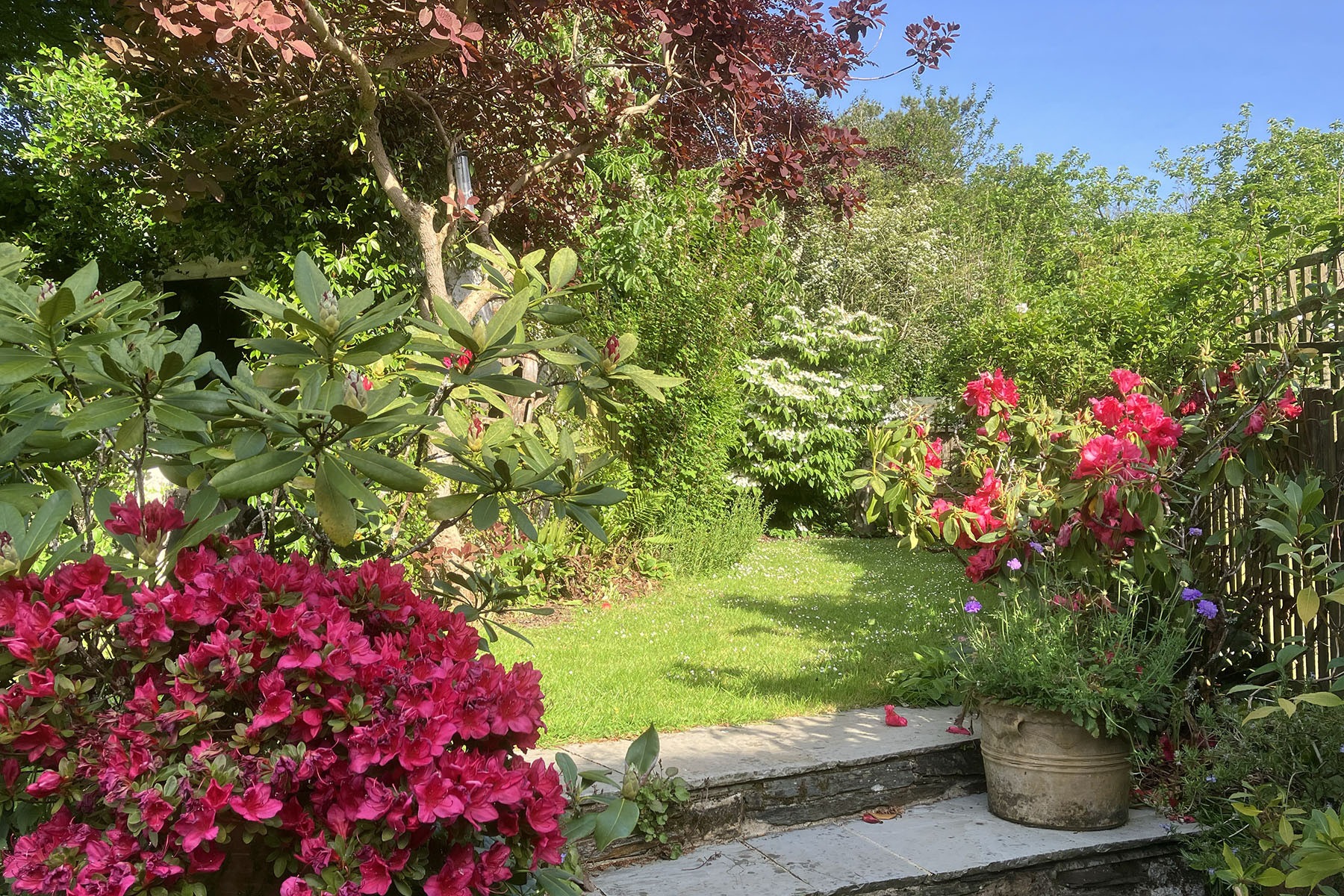 Hollyhocks Cottage - photo 2