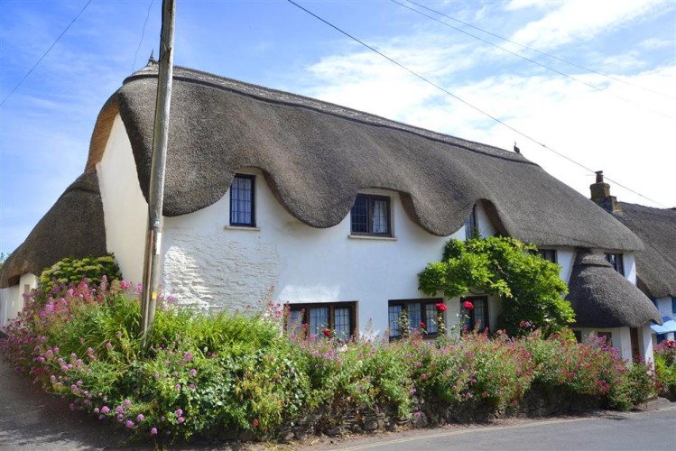 Home Cottage - photo 3