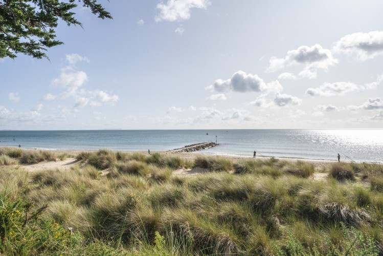 Hook Sands - photo 2