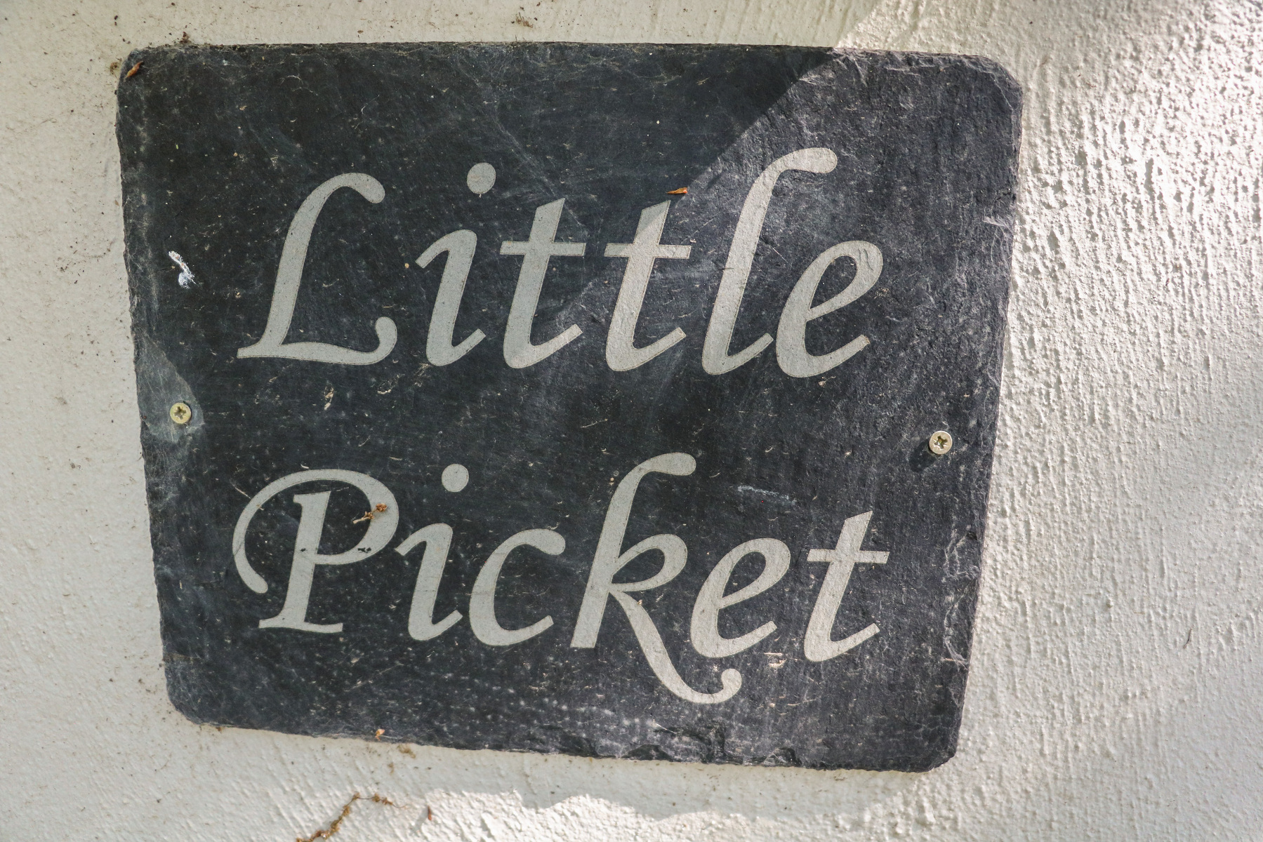 Little Picket - photo 3