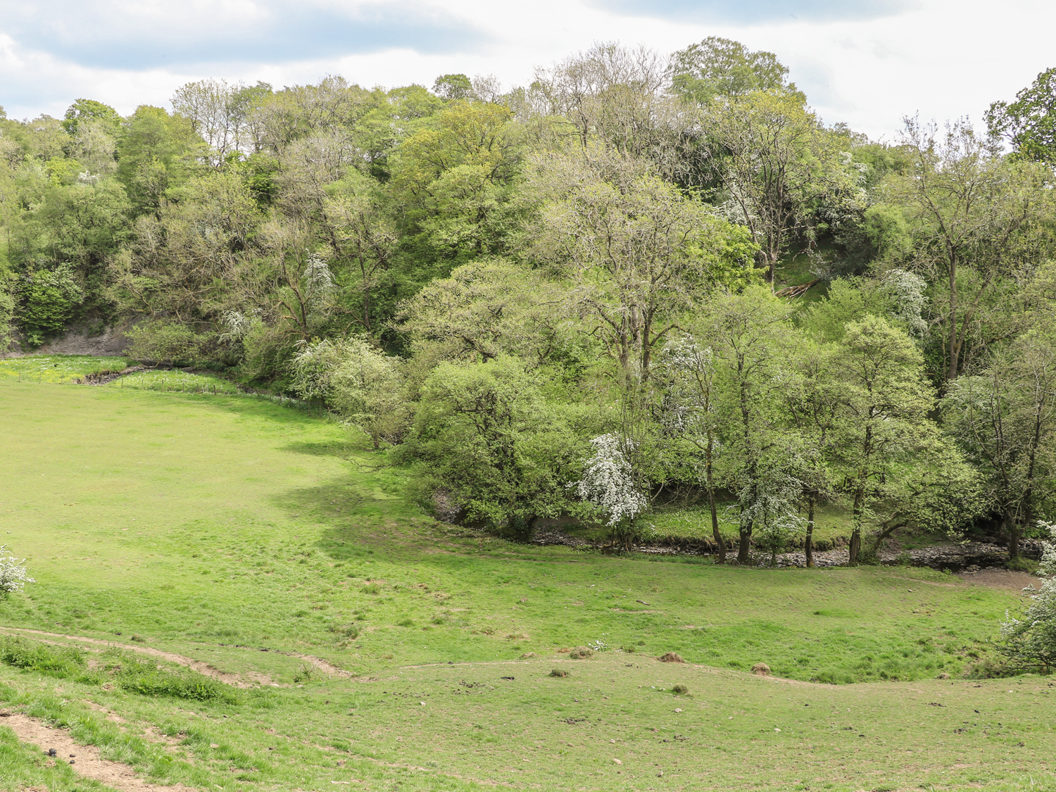 Lower Flass Farm - photo 5