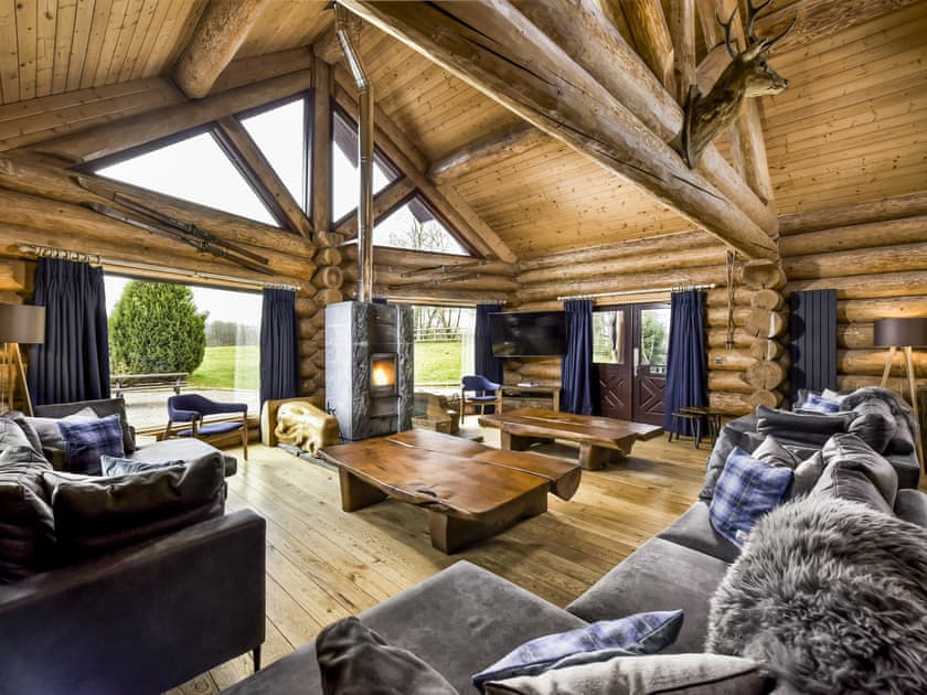 Mountain Bear Lodge - photo 3