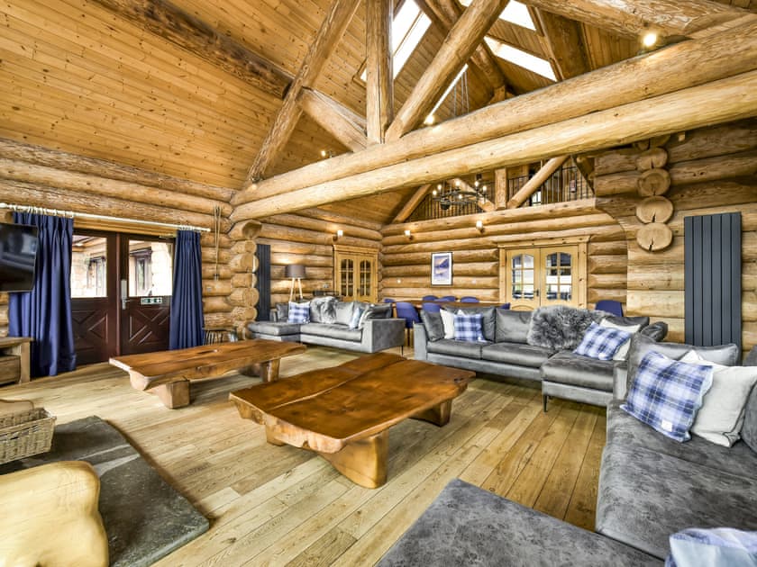 Mountain Bear Lodge - photo 4