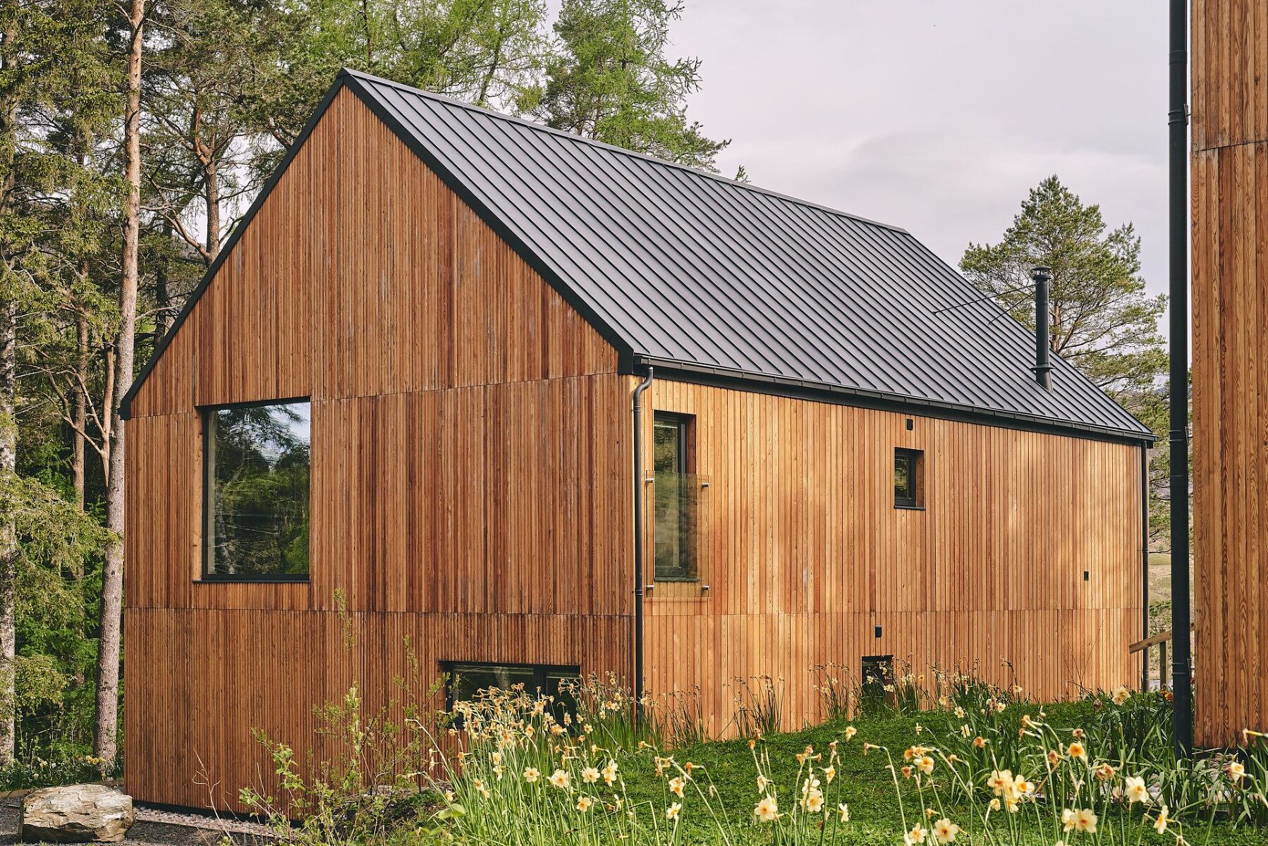 Munro Cabin - photo 2