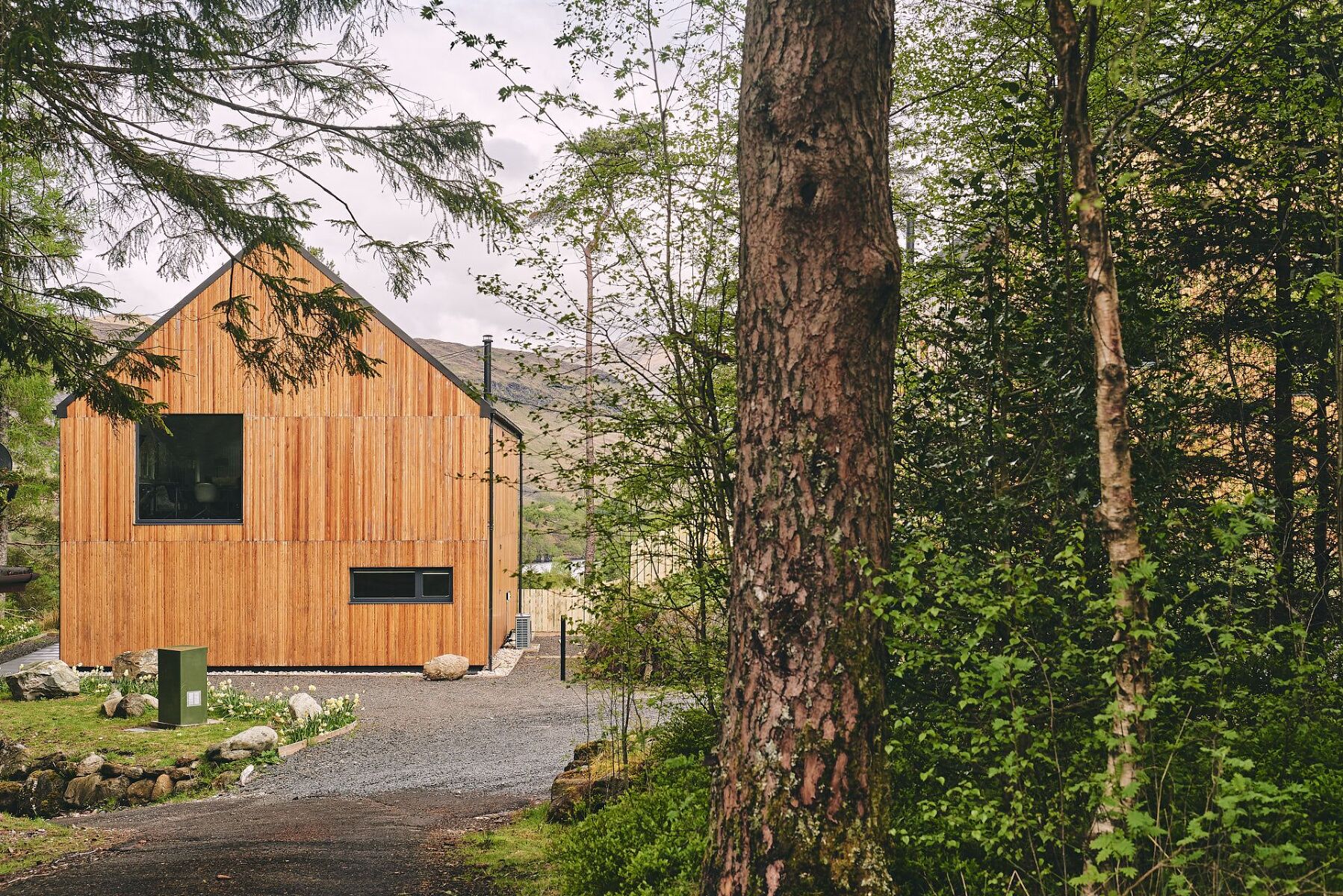 Munro Cabin - photo 4