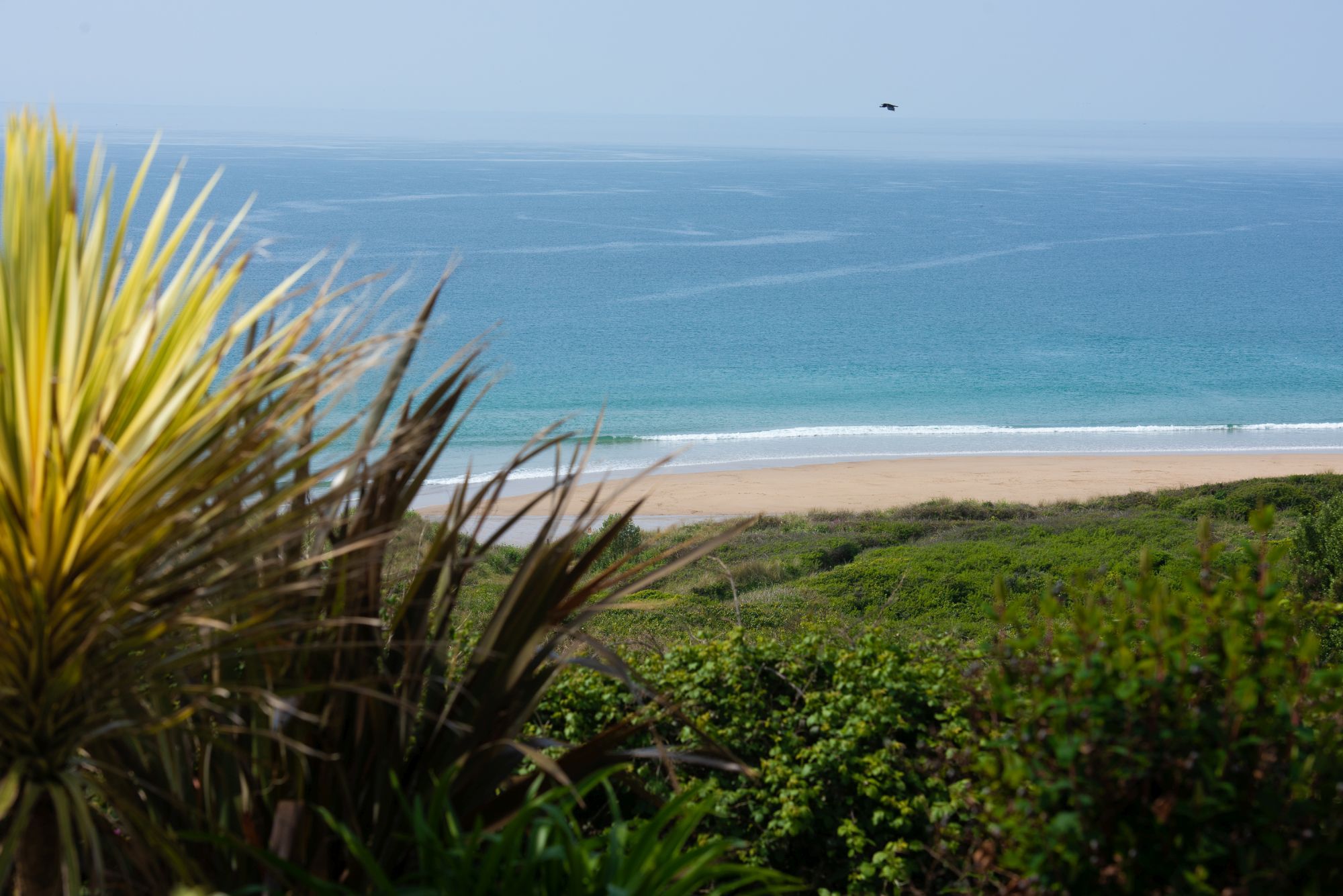 Ocean View, The Sands - photo 3