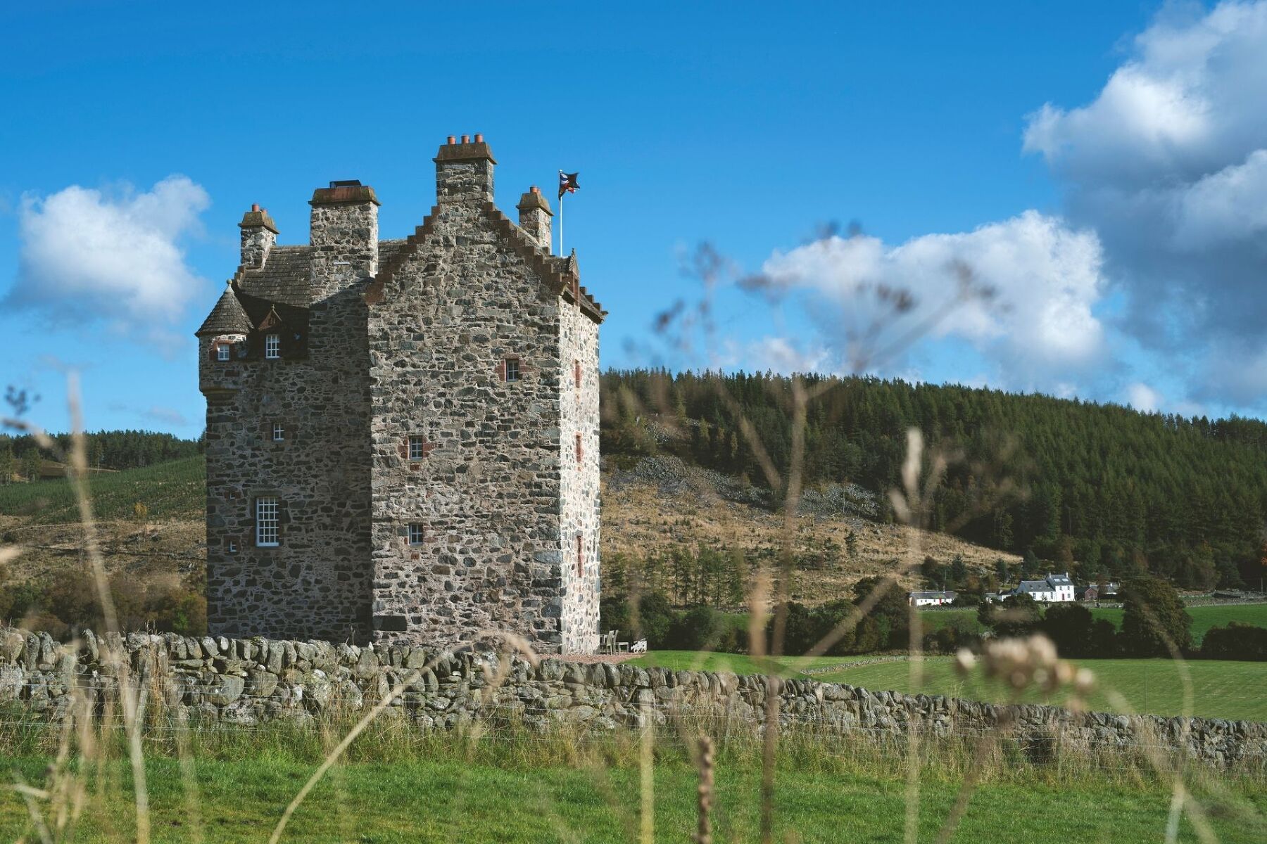 Ogilvie Castle - photo 2