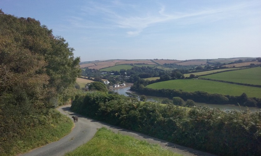 Orchard View - photo 4