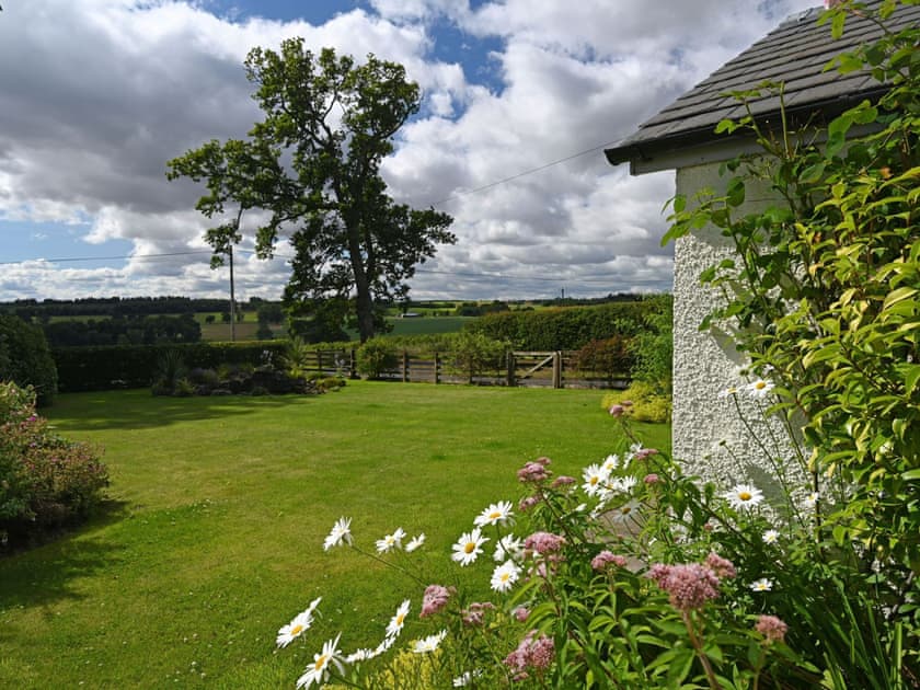 Pine Farmhouse - photo 2