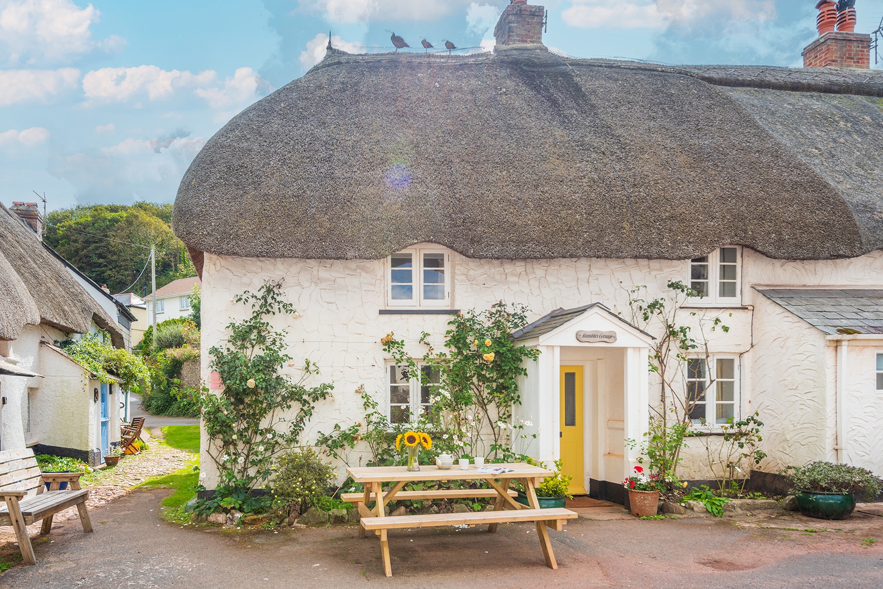 Rambler Cottage - photo 5