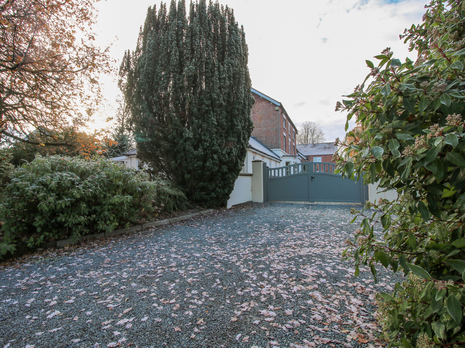 Rosehill Manor - photo 5