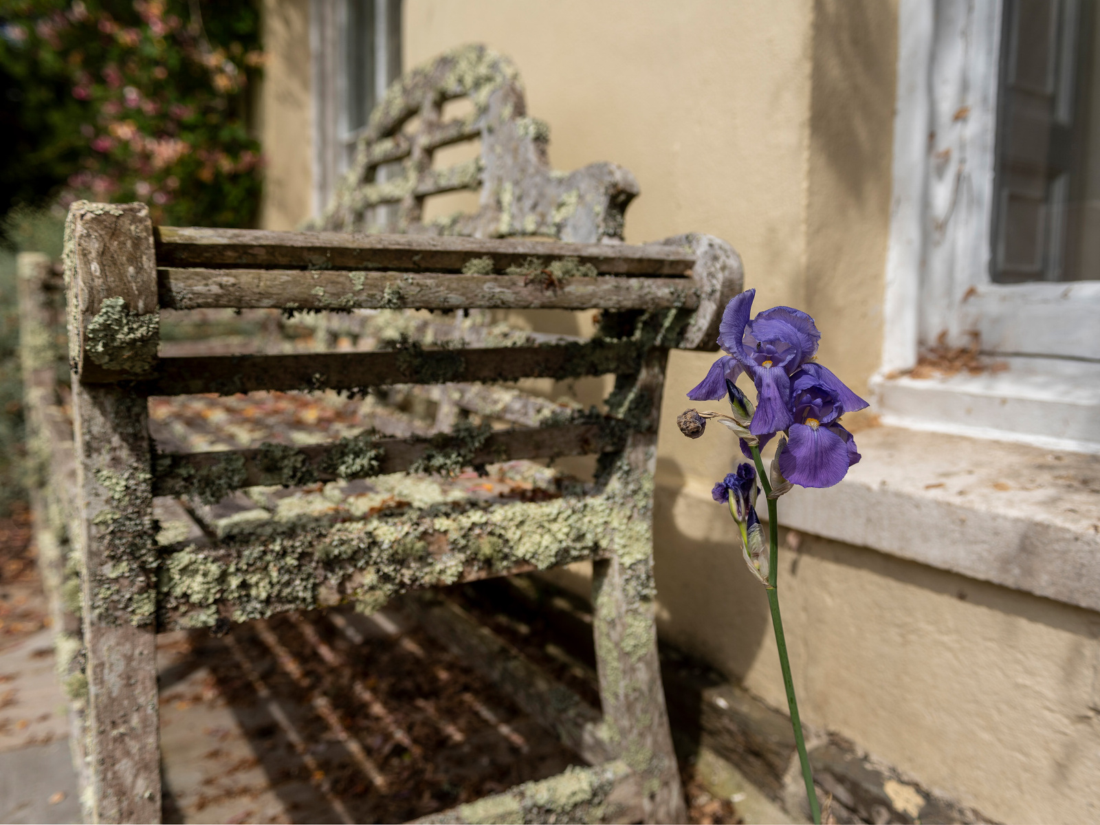 Sandwell Manor - photo 5