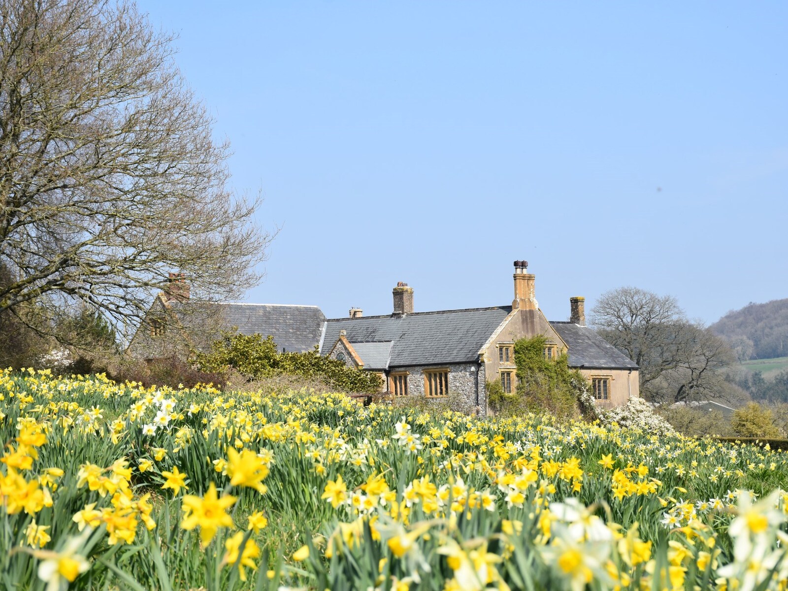 The Drake's Manor - Historic Estate with 18th Century Charm - photo 2