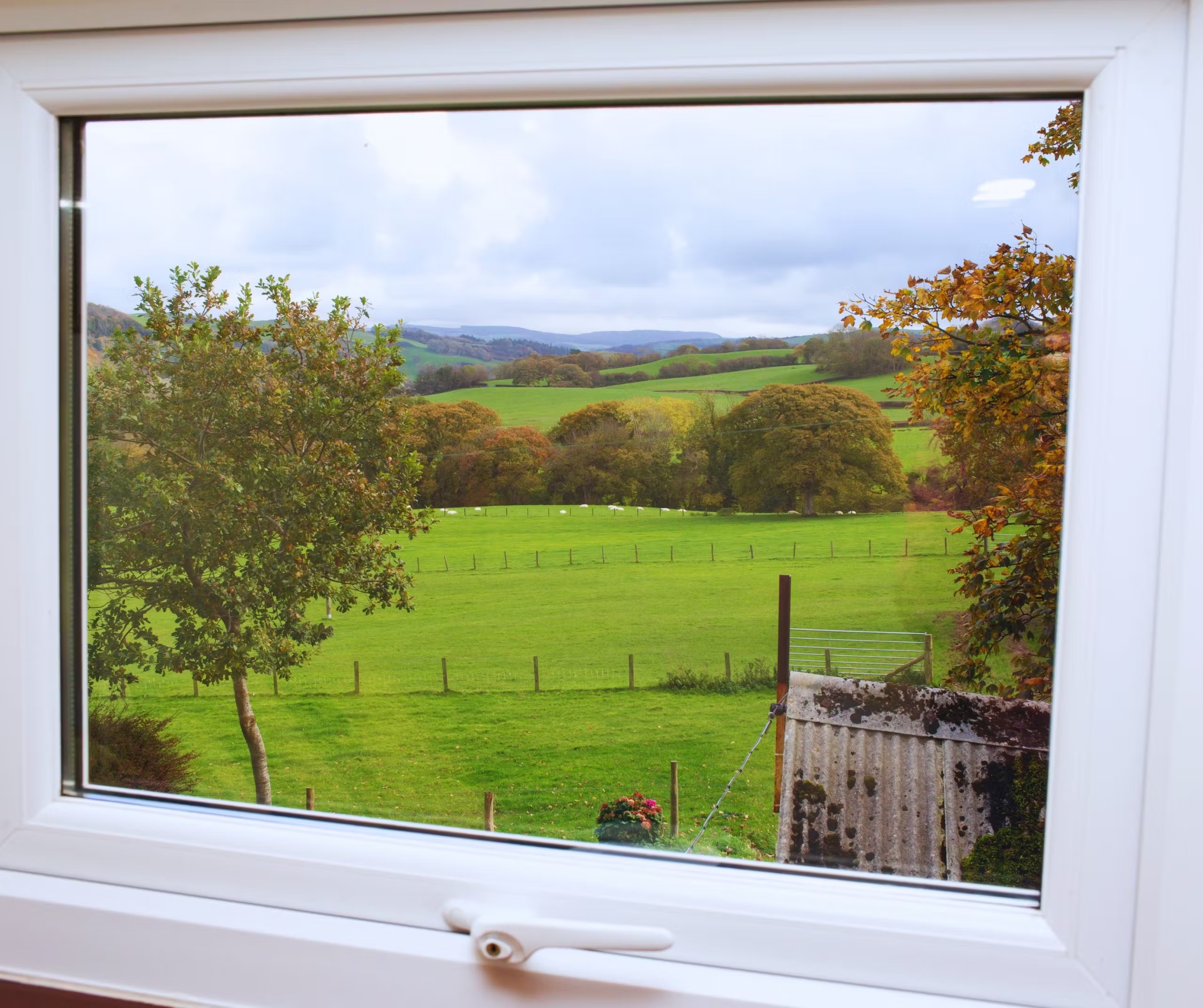 Soar Cottage - photo 3