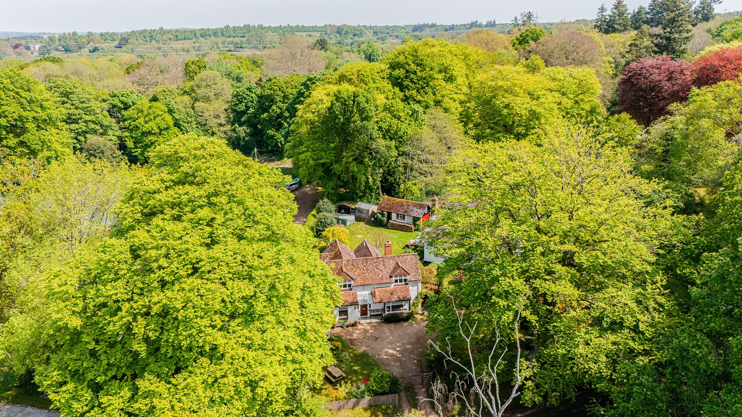 Speedwell Cottage - photo 3