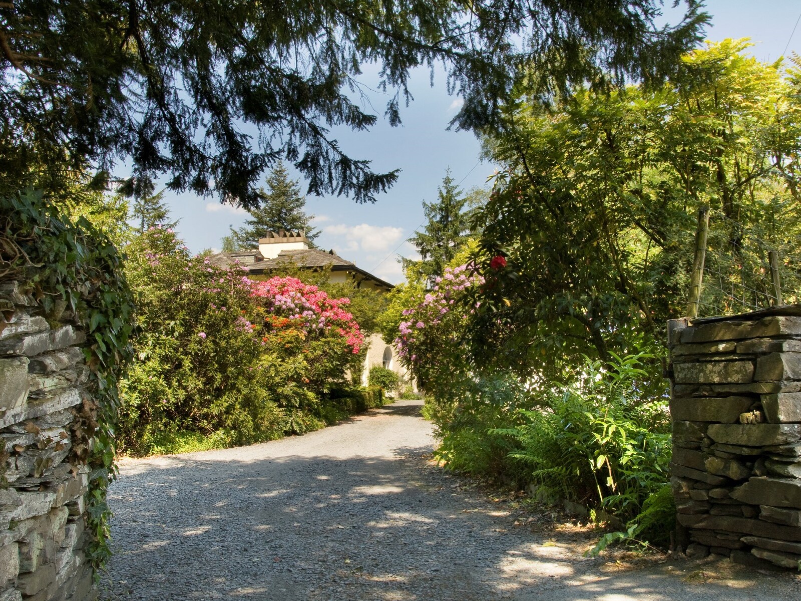 Lakeside Luxe - Stunning Views - photo 4