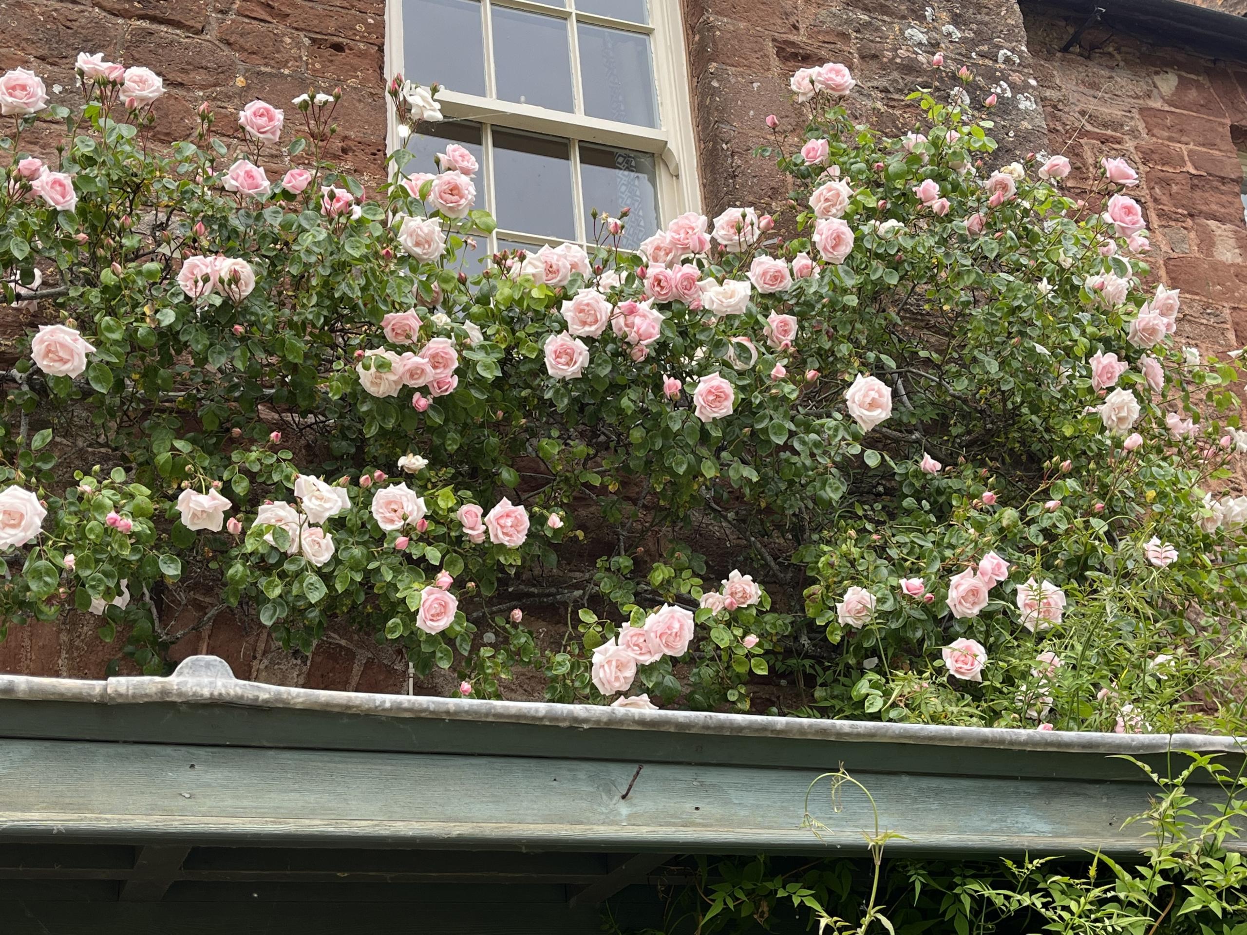 The Coach House - photo 3