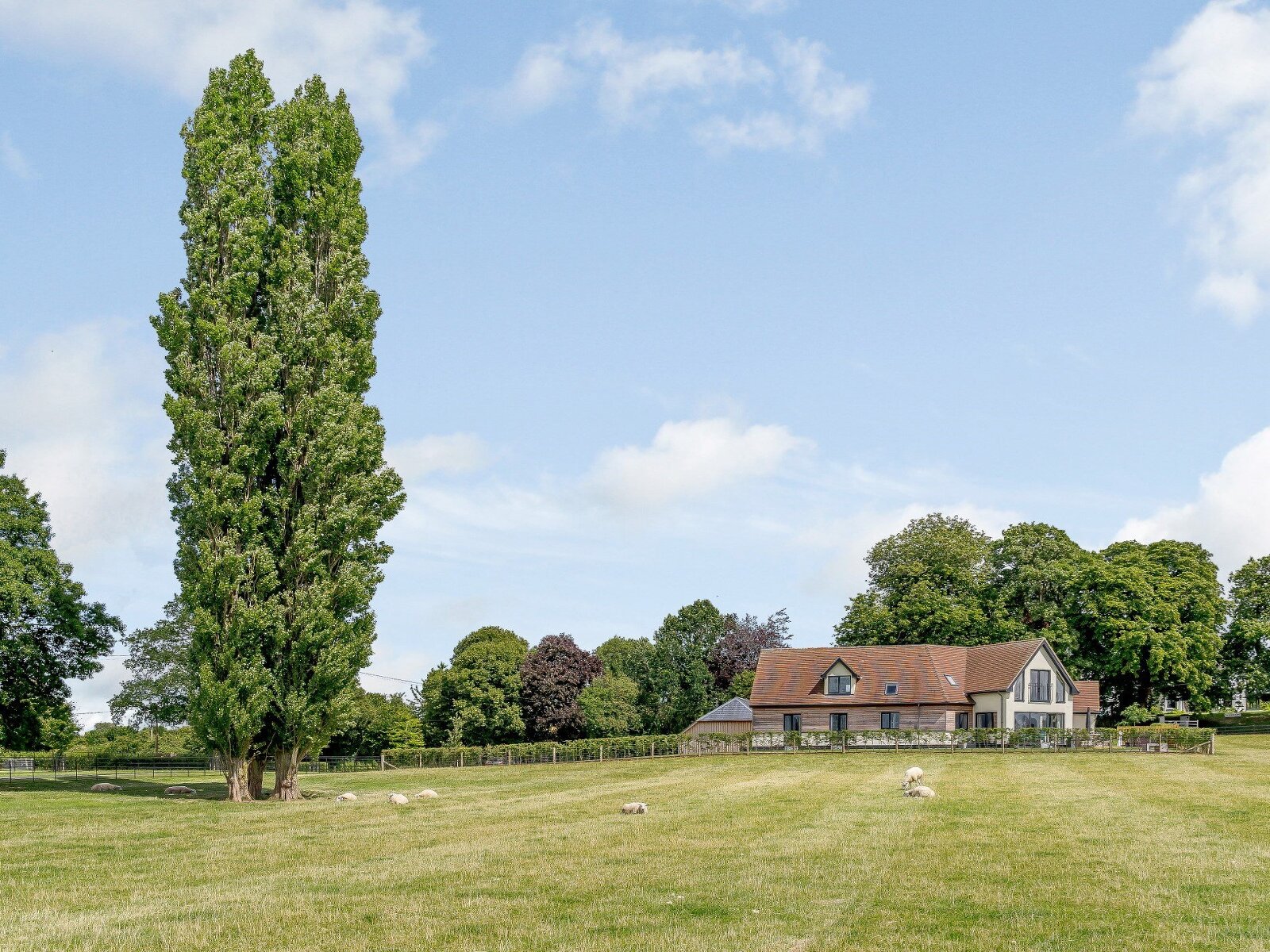 Whispering Willows - Luxurious Country Living - photo 5
