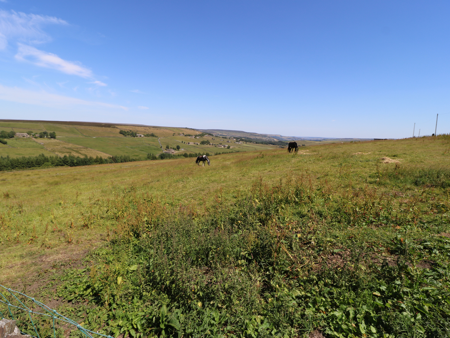 The Long View - photo 2