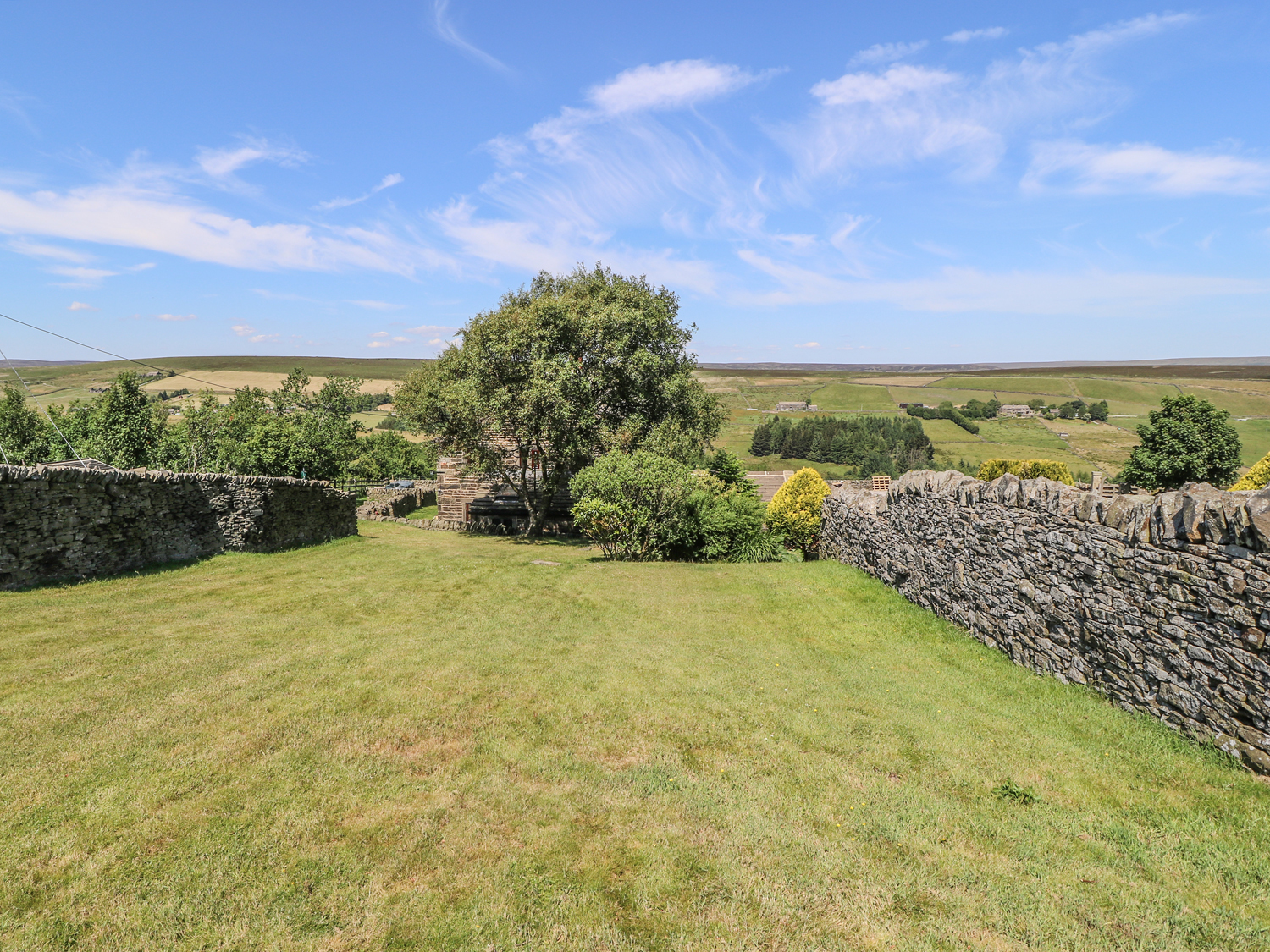 The Long View - photo 4
