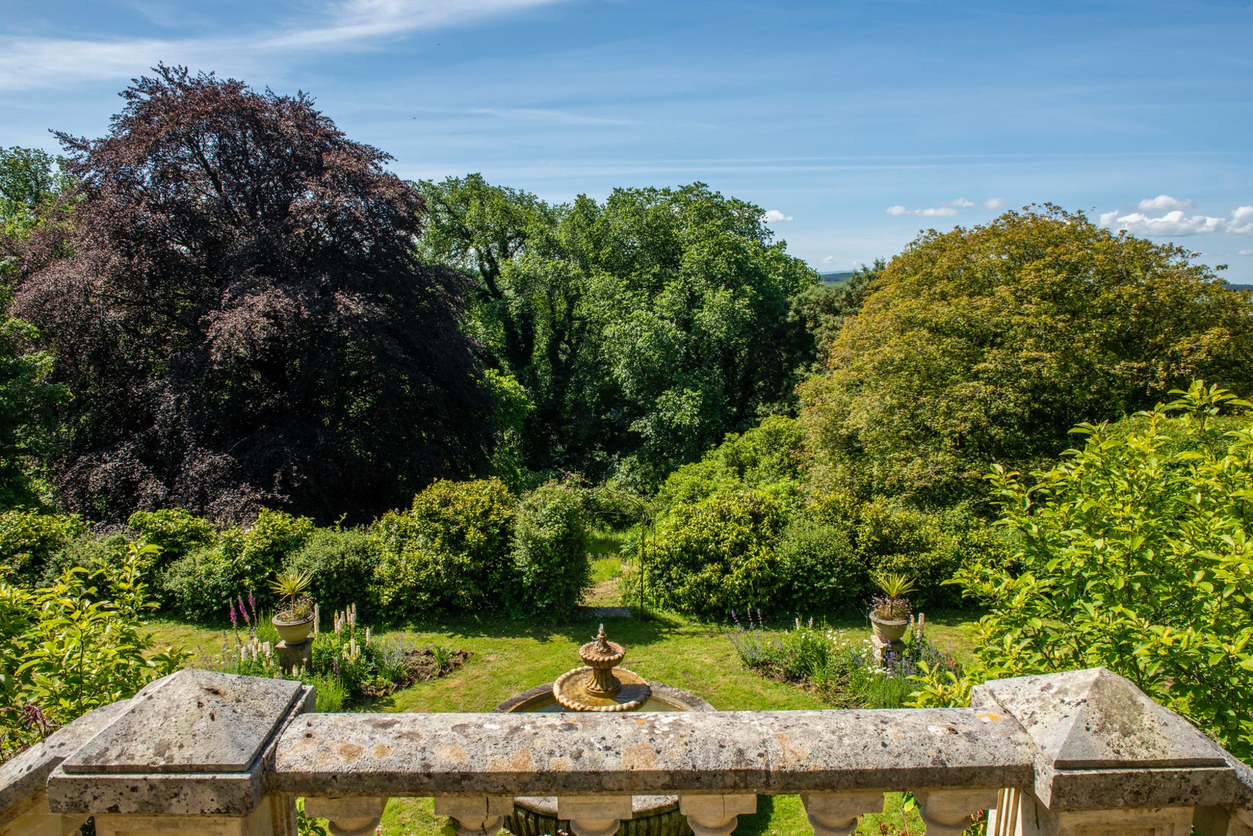The Lost Manor  - photo 3