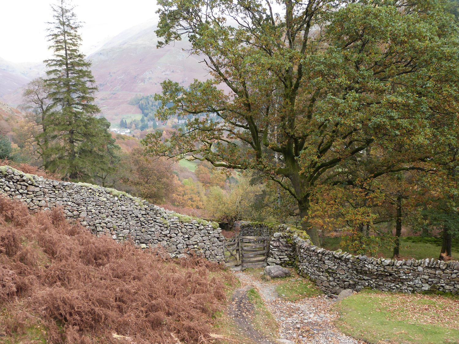 The Oaks - photo 4