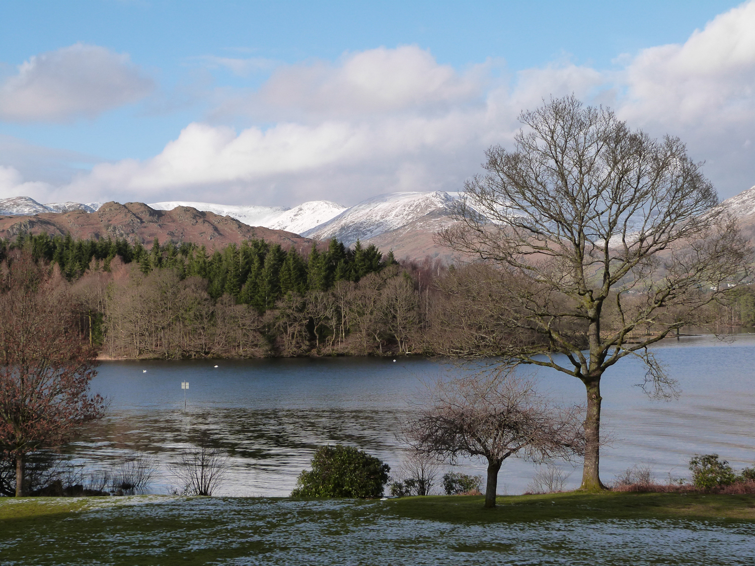 The Oaks - photo 5