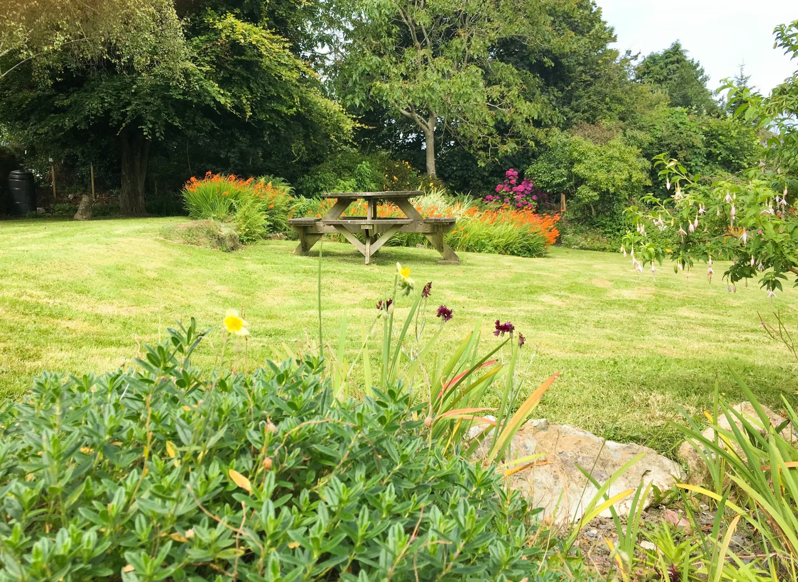 White Cottage - photo 4