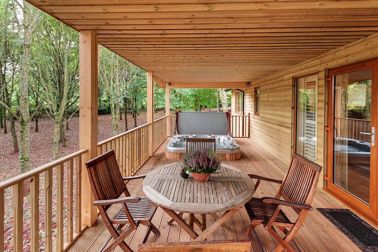Willow Lodge, South View Lodges - photo 2