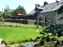 Brynifor