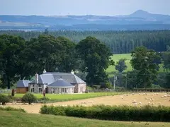Elm Steading