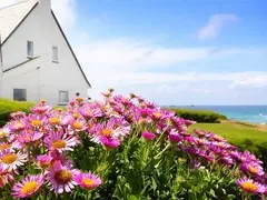 Roswidden on the cliff