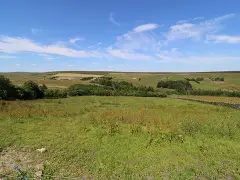 The Long View